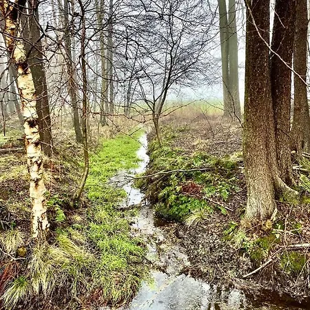 Little Visselhövede