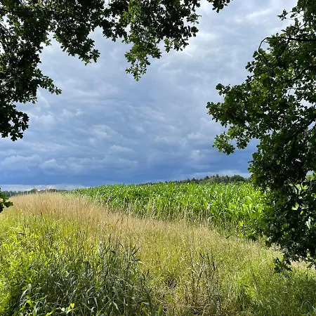 Apartman Little Visselhövede