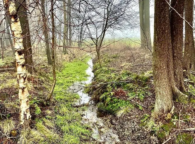 Little Visselhövede