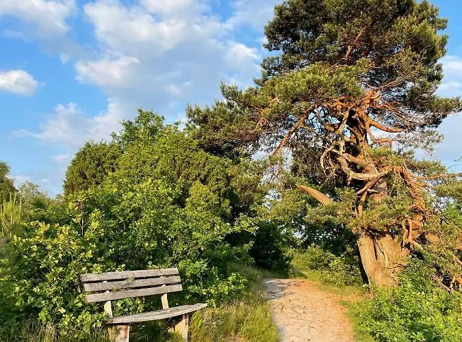 Little * Visselhövede